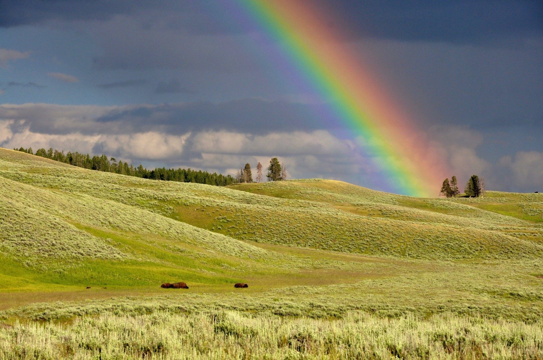 Please, no more waves. Bring on the rainbows